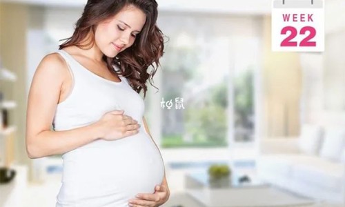 怎样消耗体内的脂肪-怎样消耗内脏脂肪网 - 网站提供如何消耗内脏脂肪和血液脂肪小常识、怎么消减内脏脂肪