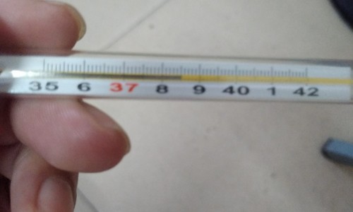 怎样消耗内脏脂肪最有效-怎样消耗内脏脂肪网 - 网站提供如何消耗内脏脂肪和血液脂肪小常识、怎么消减内脏脂肪
